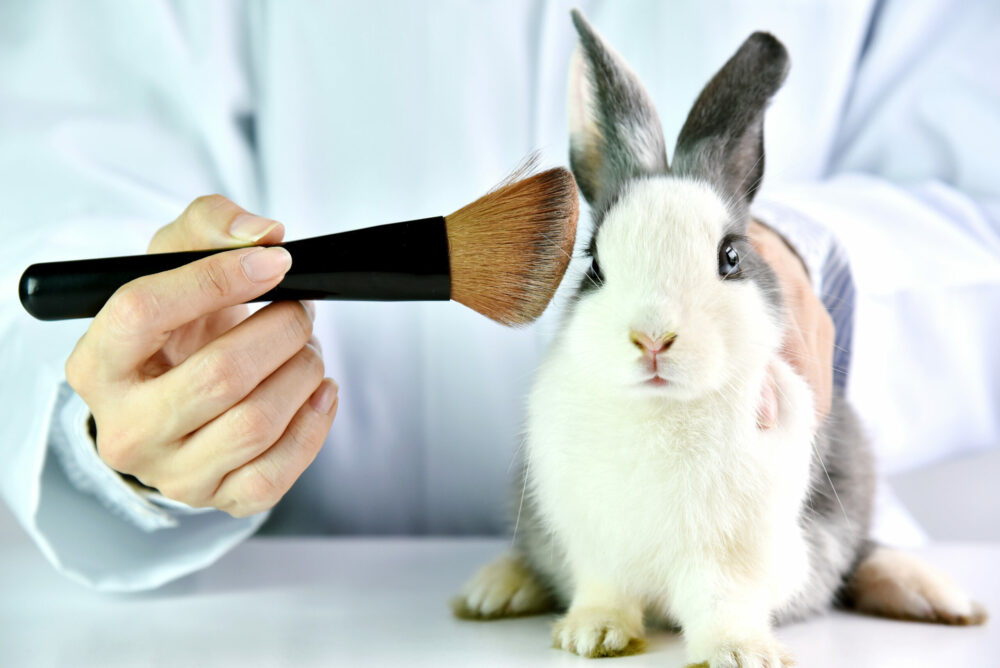 Tests cosmétiques sur animaux